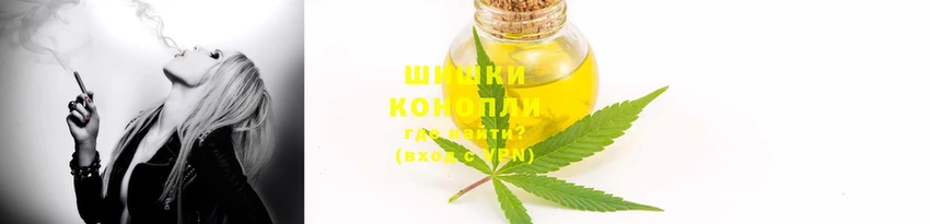 стафф Богданович