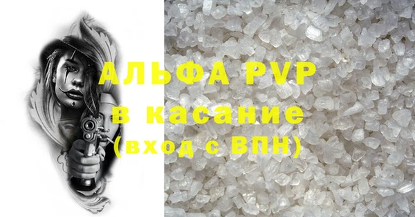 spice Богородицк